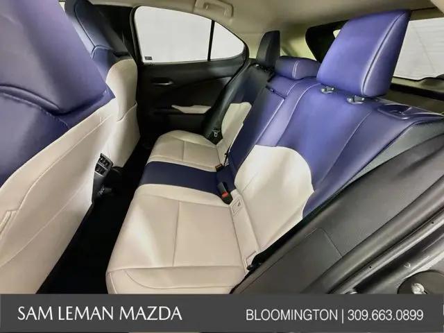 2025 Lexus 300 UX 300h