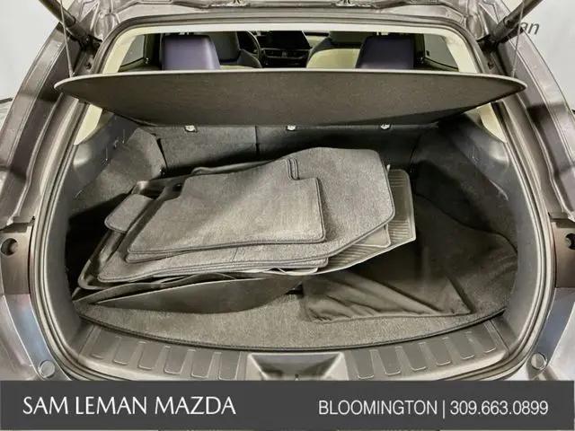 2025 Lexus 300 UX 300h
