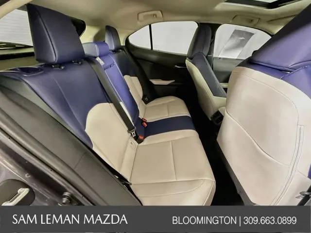 2025 Lexus 300 UX 300h