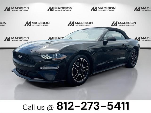 2021 Ford Mustang EcoBoost Premium Convertible for sale in Madison, IN