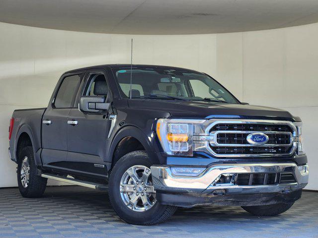 2023 Ford F-150 XLT for sale in Longmont, CO