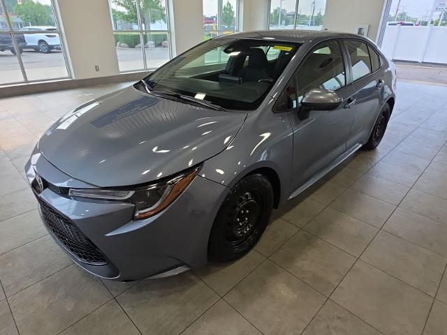 2020 Toyota Corolla LE for sale in Sterling Heights, MI