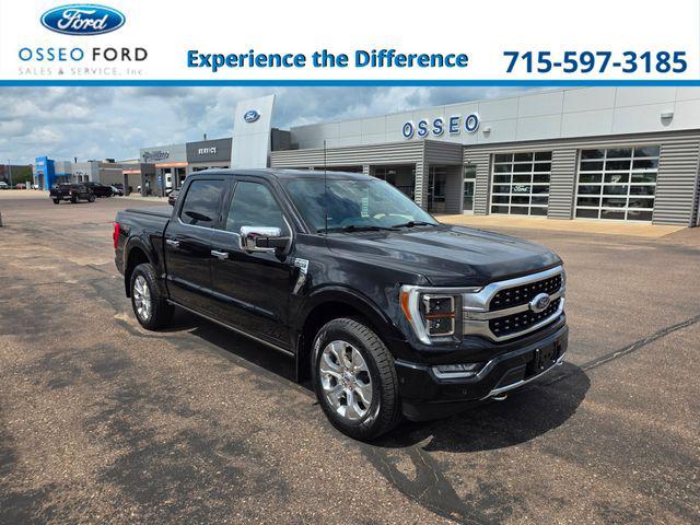 2023 Ford F-150 Platinum for sale in Osseo, WI