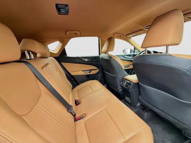 2024 Lexus NX NX 250