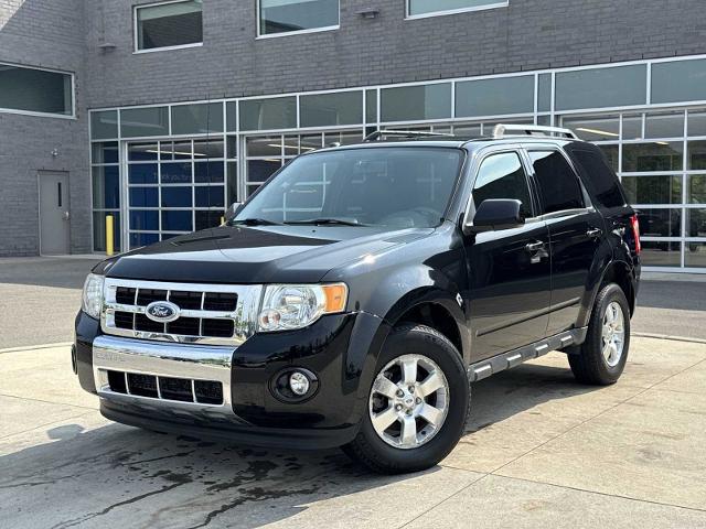 2009 Ford Escape Limited for sale in Washington, MI