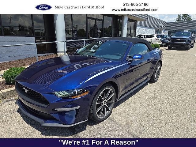 2019 Ford Mustang EcoBoost for sale near Milford, OH