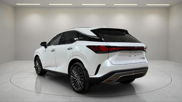 2023 Lexus RX 350 Luxury