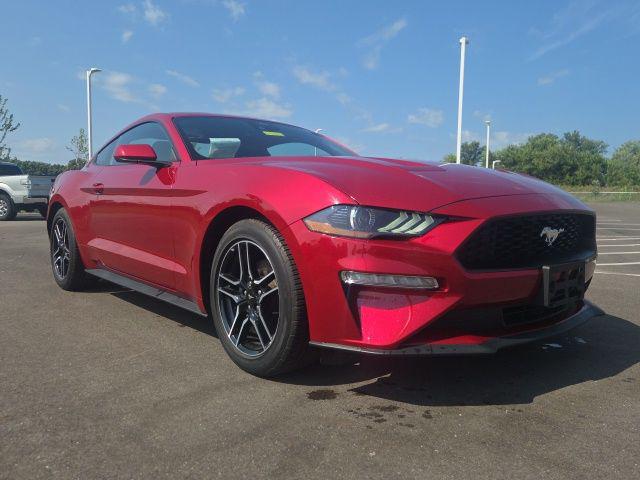 2023 Ford Mustang EcoBoost Fastback for sale in Plainfield, IN