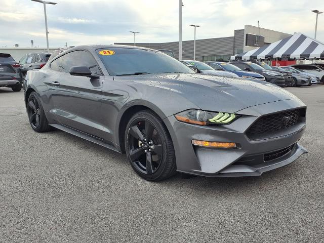 2021 Ford Mustang EcoBoost Fastback for sale in Bowling Green, KY