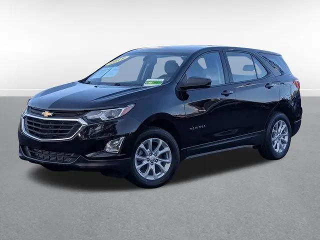 2019 Chevrolet Equinox LS for sale in Monroe, MI