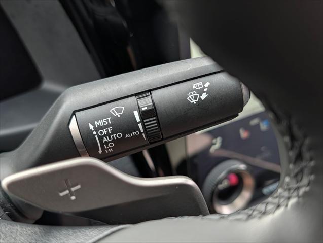 2024 Lexus 300 Premium