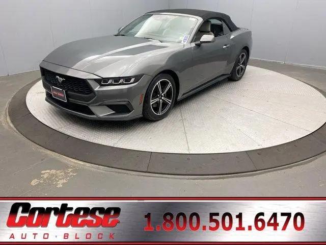 2024 Ford Mustang EcoBoost Premium Convertible for sale in Rochester, NY