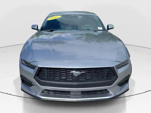 2025 Ford Mustang EcoBoost Fastback for sale in Miami, FL