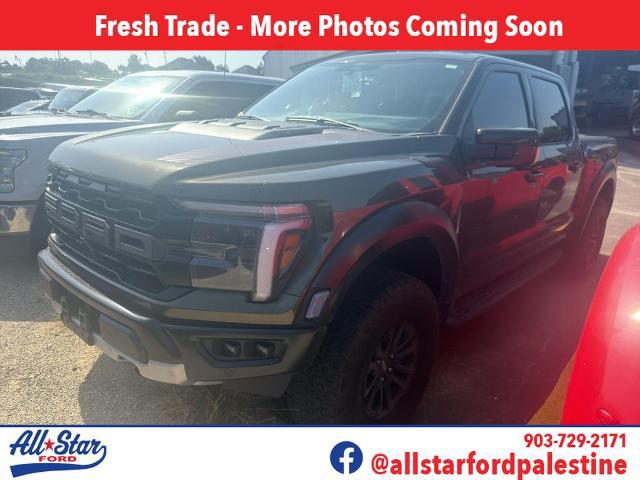 2024 Ford F-150 Raptor for sale in Palestine, TX