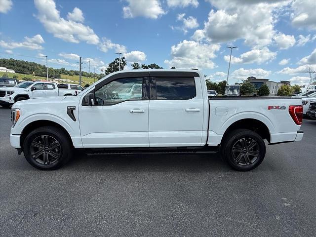 2023 Ford F-150 XL for sale in Dandridge, TN