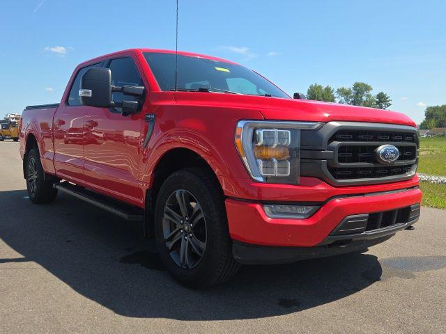 2023 Ford F-150 XLT for sale in Plainfield, IN