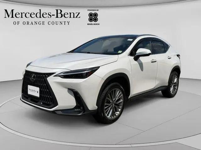 2024 Lexus NX 350 Luxury for sale in Harriman, NY