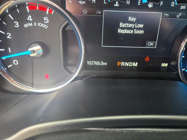 2021 Ford F-250 Platinum