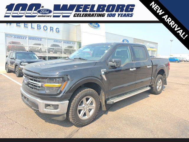 2024 Ford F-150 XLT for sale in Redwood Falls, MN