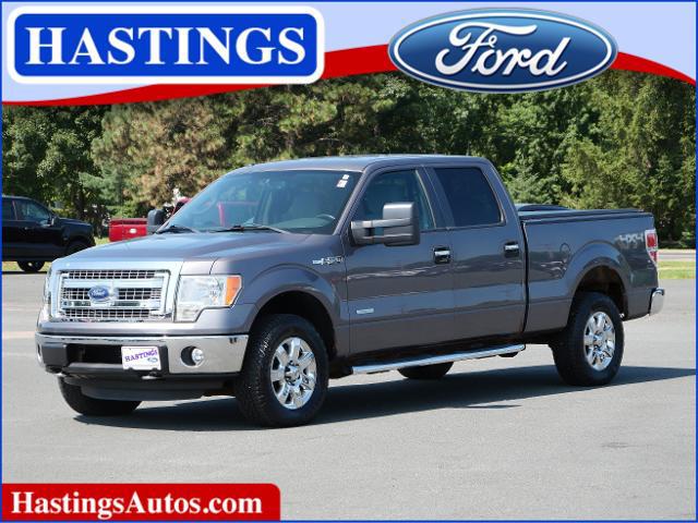 2013 Ford F-150 XLT for sale in Hastings, MN