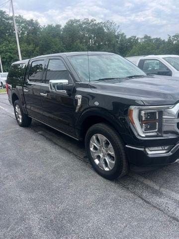 2021 Ford F-150 Platinum for sale in Winchester, VA