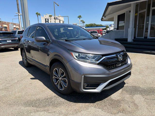 2022 Honda CR-V 2WD EX-L for sale in Glendale, CA