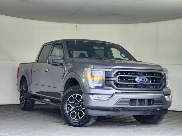 2023 Ford F-150 XLT for sale in Longmont, CO