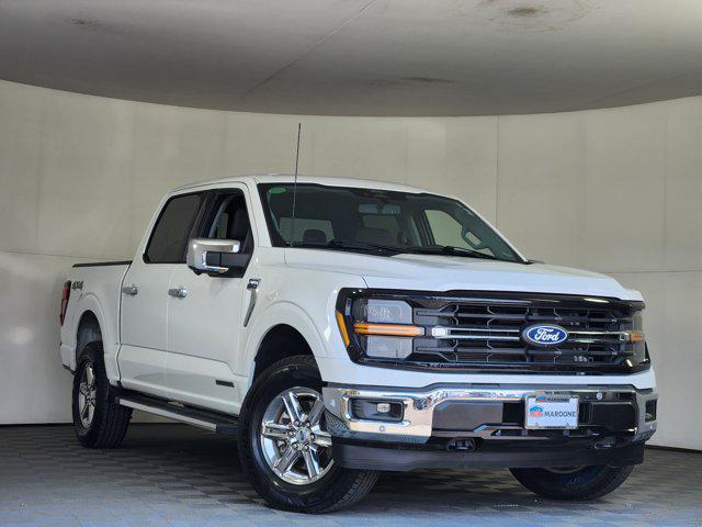 2024 Ford F-150 XLT for sale in Longmont, CO