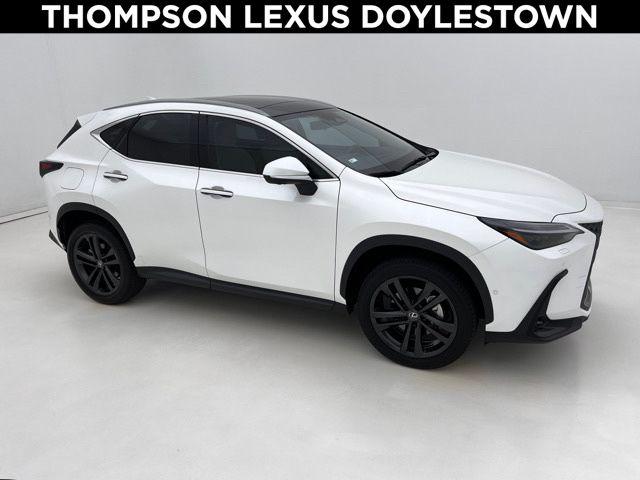 2025 Lexus NX Luxury for sale in Doylestown, PA
