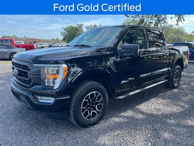 2023 Ford F-150 XLT for sale in Starke, FL