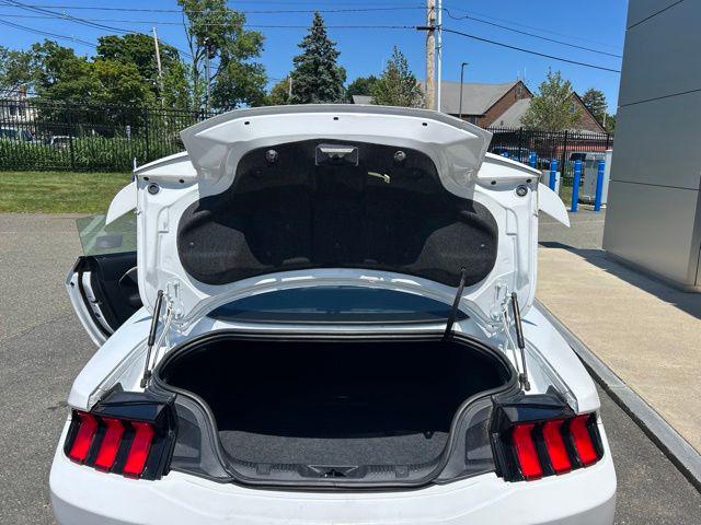 2024 Ford Mustang EcoBoost Fastback
