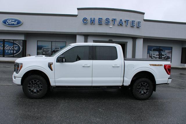 2021 Ford F-150 Tremor for sale in Dahlonega, GA