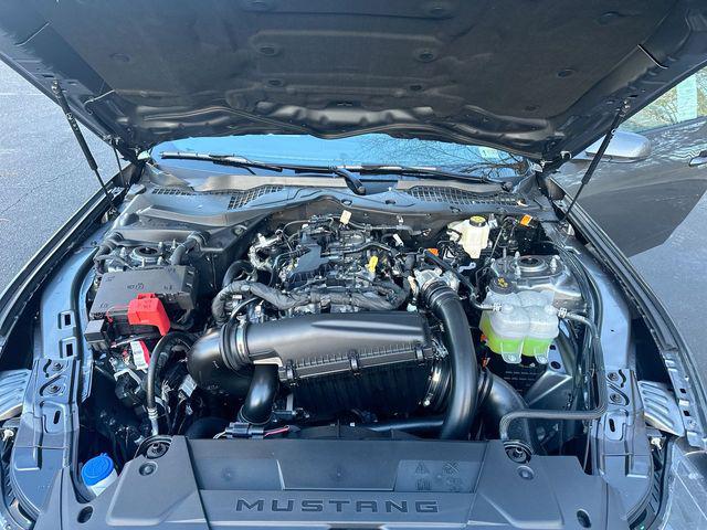 2024 Ford Mustang EcoBoost Premium Fastback
