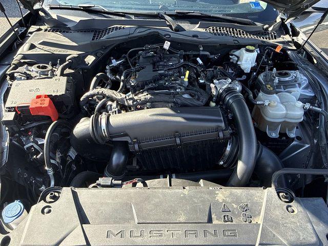 2024 Ford Mustang EcoBoost Premium Fastback