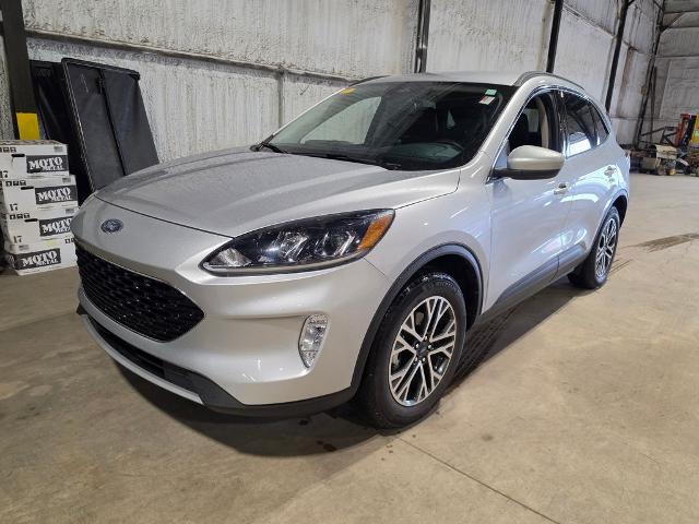 2020 Ford Escape SEL for sale near Chillicothe, OH