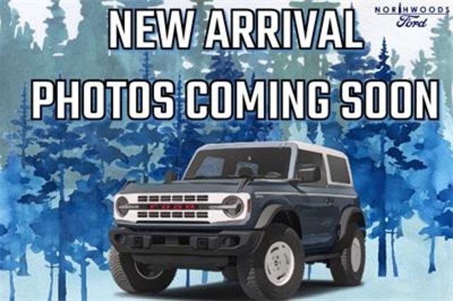 2023 Ford F-250 Platinum for sale in Minocqua, WI