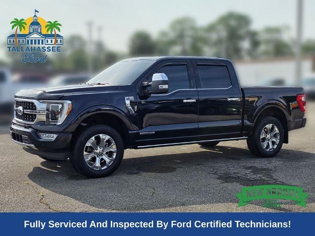 2021 Ford F-150 Platinum for sale in Tallahassee, FL