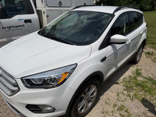 2019 Ford Escape for sale near New Lexington, OH