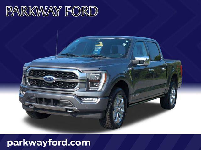 2023 Ford F-150 Platinum for sale in Winston Salem, NC