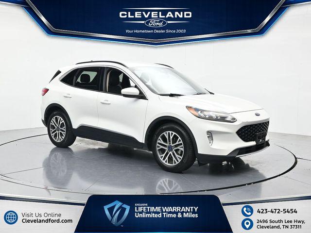 2020 Ford Escape SEL for sale in Cleveland, TN