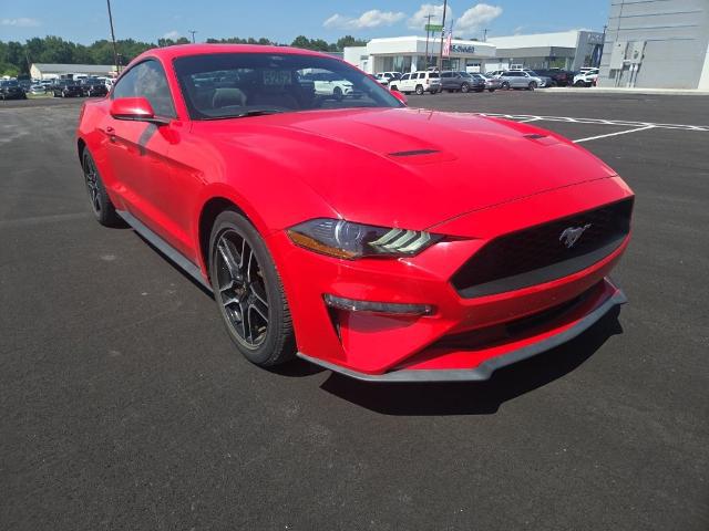 2021 Ford Mustang EcoBoost Fastback for sale in Montgomery, AL