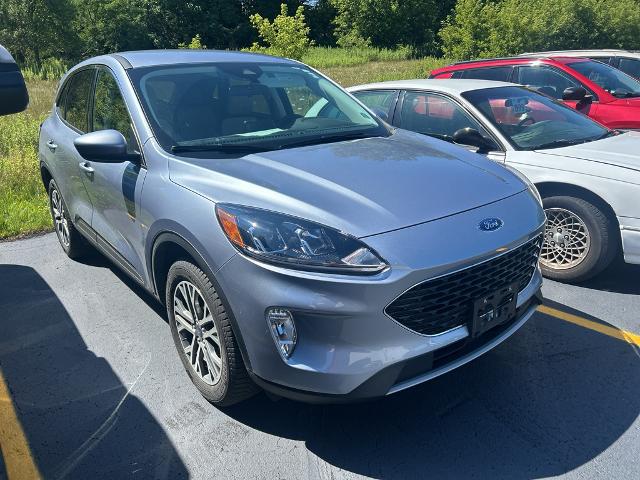 2022 Ford Escape SEL Hybrid for sale in Saukville, WI