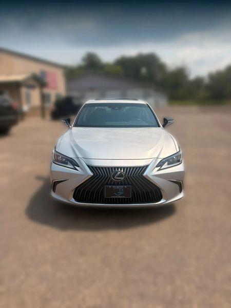 2019 Lexus ES 350 350 for sale in Zimmerman, MN
