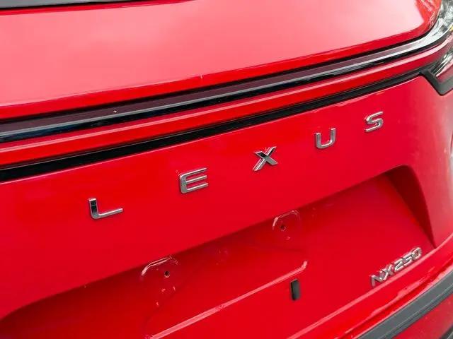 2024 Lexus NX Premium