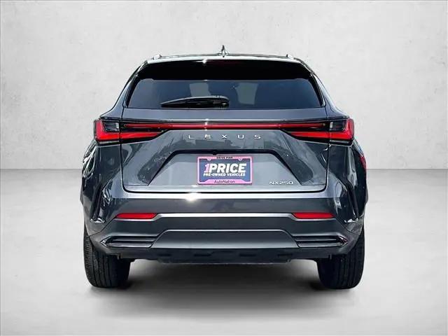 2025 Lexus NX NX 250