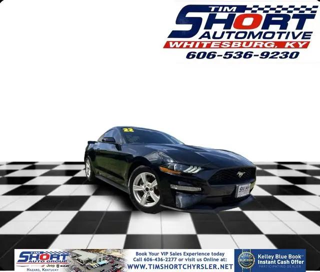 2022 Ford Mustang EcoBoost Fastback for sale in Hazard, KY