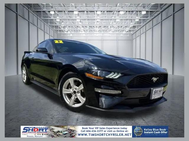 2022 Ford Mustang EcoBoost Fastback for sale in Hazard, KY