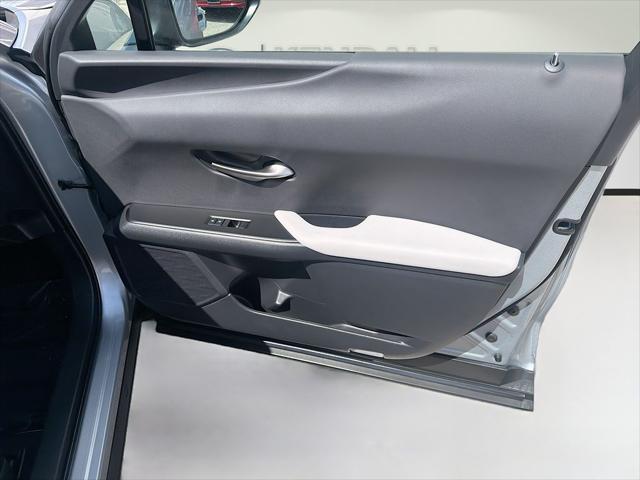 2025 Lexus 300 300h
