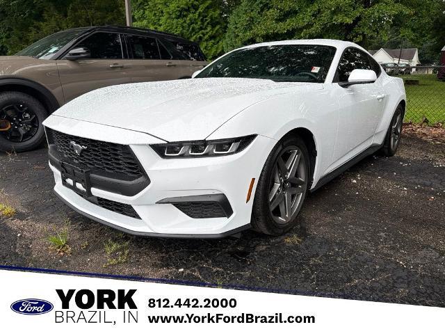 2024 Ford Mustang EcoBoost Premium Fastback for sale in Brazil, IN