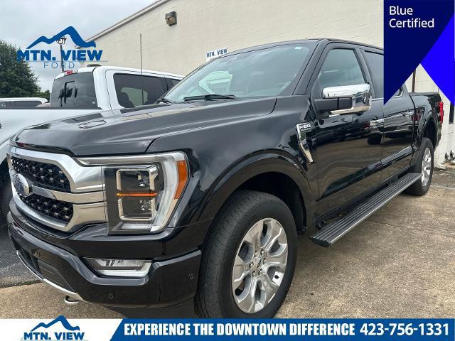 2023 Ford F-150 Platinum for sale in Chattanooga, TN